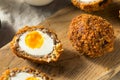 Homemade English Scotch Eggs