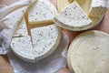 Homemade farming cheese, eco-friendly organic food Royalty Free Stock Photo