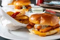 Homemade fish burger with french fries Royalty Free Stock Photo