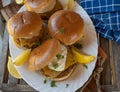 Fish cake burger with cheddar cheese and tartar sauce Royalty Free Stock Photo