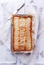 Homemade Fat-Free Apple Cake Royalty Free Stock Photo