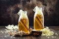 Homemade fermented cinnamon and ginger kombucha tea infused with elderflower. Healthy natural probiotic flavored drink. Royalty Free Stock Photo