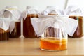 Homemade fermented drink Kombucha SCOBY