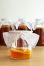 Homemade fermented drink Kombucha SCOBY