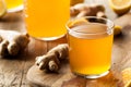 Homemade Fermented Raw Kombucha Tea Royalty Free Stock Photo