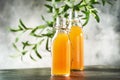 Homemade Fermented Raw Kombucha.Tea Ready to Drink. Gray Kitchen Table Background With Copy Space Royalty Free Stock Photo