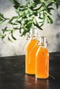Homemade Fermented Raw Kombucha.Tea Ready to Drink. Gray Kitchen Table Background With Copy Space Royalty Free Stock Photo