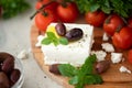 homemade feta cheese with olive oil, tomatoes and basil Royalty Free Stock Photo