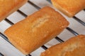 Homemade financier cakes, french pastry
