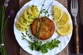 Homemade fish-burger Royalty Free Stock Photo