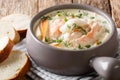 Homemade fish soup with cream, carrots and celery in a bowl close-up filed and bread. horizontal Royalty Free Stock Photo