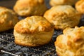 Homemade Flakey Buttermilk Biscuits