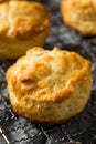 Homemade Flakey Buttermilk Biscuits