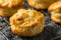 Homemade Flakey Buttermilk Biscuits Royalty Free Stock Photo