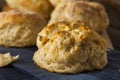 Homemade Flakey Buttermilk Biscuits Royalty Free Stock Photo