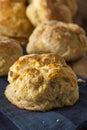 Homemade Flakey Buttermilk Biscuits Royalty Free Stock Photo