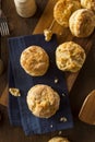 Homemade Flakey Buttermilk Biscuits Royalty Free Stock Photo