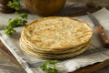 Homemade Flour Indian Paratha Bread Royalty Free Stock Photo