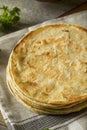 Homemade Flour Indian Paratha Bread