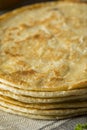 Homemade Flour Indian Paratha Bread Royalty Free Stock Photo