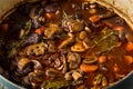 Homemade French Beef Bourguignon Stew Royalty Free Stock Photo