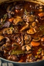 Homemade French Beef Bourguignon Stew Royalty Free Stock Photo