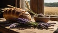 Homemade fresh bread with crispy golden crust arranged on rustic wooden table with several golden ears of wheat and fresh lavender