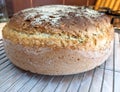 Homemade fresh bread on a metal grill Royalty Free Stock Photo