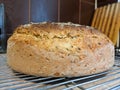 Homemade fresh bread on a metal grill Royalty Free Stock Photo