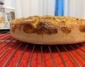 Homemade fresh bread on a metal grill Royalty Free Stock Photo