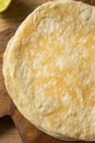 Homemade Fresh Flour Tortillas