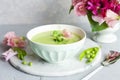 Homemade fresh green pea cream soup with pea sprouts and flowers Royalty Free Stock Photo