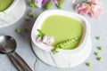 Homemade fresh green pea cream soup with pea sprouts and flowers Royalty Free Stock Photo