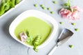 Homemade fresh green pea cream soup with pea sprouts and flowers Royalty Free Stock Photo