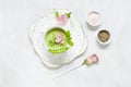 Homemade fresh green pea cream soup with pea sprouts and flowers Royalty Free Stock Photo