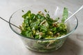 Homemade Fresh Organic Healthy Salad with Cold Sliced Chicken Breast Slices, Rucola or Arugula / Rocket Leaves in Glass Bowl with Royalty Free Stock Photo