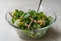 Homemade Fresh Organic Healthy Salad with Cold Sliced Chicken Breast Slices, Rucola or Arugula / Rocket Leaves in Glass Bowl with Royalty Free Stock Photo