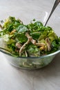 Homemade Fresh Organic Healthy Salad with Cold Sliced Chicken Breast Slices, Rucola or Arugula / Rocket Leaves in Glass Bowl with Royalty Free Stock Photo