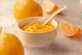 Homemade fresh pudding or tangy lemon curd in a white bowl.Selective focus