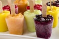 Homemade Fresh Pureed Fruit Frozen Popsicles Royalty Free Stock Photo