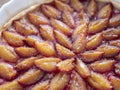 Homemade fresh purple plum pie. Rustic seasonal plum tart. Fruity and melt-in-the-mouth pastry