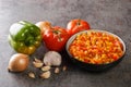 Homemade fresh sofrito sauce from summer vegetables close-up in a bowl. horizontal Royalty Free Stock Photo