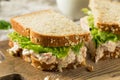 Homemade Fresh Tuna Salad Sandwich Royalty Free Stock Photo
