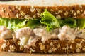 Homemade Fresh Tuna Salad Sandwich Royalty Free Stock Photo