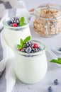 Homemade fresh yogurt in a glass jar with frozen berries and granola on top. Healthy breakfast. Vertical orientation. Close up Royalty Free Stock Photo