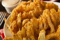 Homemade Fried Bloomin Onion