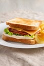 Homemade Fried Bologna and Cheese Sandwich with Chips on a Plate, side view Royalty Free Stock Photo