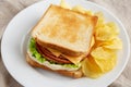Homemade Fried Bologna and Cheese Sandwich with Chips on a Plate, side view Royalty Free Stock Photo