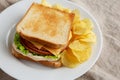 Homemade Fried Bologna and Cheese Sandwich with Chips on a Plate, side view. Space for text Royalty Free Stock Photo