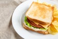 Homemade Fried Bologna and Cheese Sandwich with Chips on a Plate, side view. Space for text Royalty Free Stock Photo